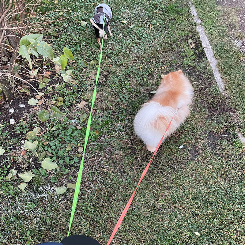 Dual Dog Leash Pro