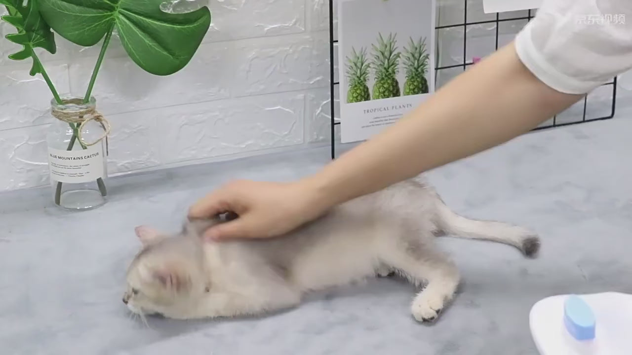 Pet Brush Cat/dog Comb Cleaning Pet Hair Remover Brush For Dogs Cats